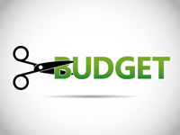 Budget cut